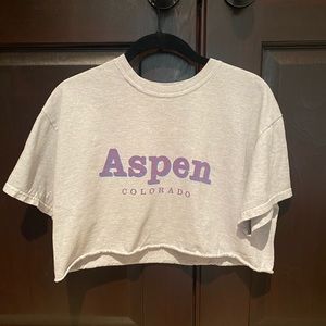 brandy melville crop top